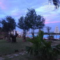 фото из отзыва ID 1708352