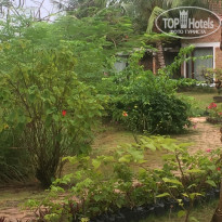 фото из отзыва ID 1708352