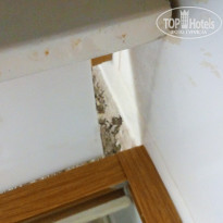 фото из отзыва ID 1708365