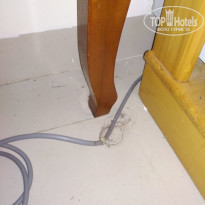 фото из отзыва ID 1708383