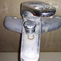 фото из отзыва ID 1708383