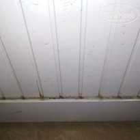 фото из отзыва ID 1708383