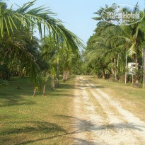 фото из отзыва ID 1708405