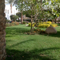 фото из отзыва ID 1708420