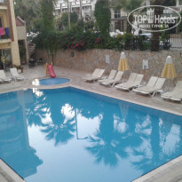 фото из отзыва ID 1708463