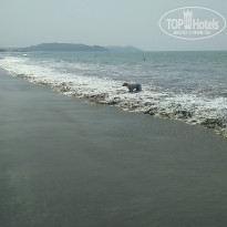 фото из отзыва ID 1708640