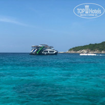 фото из отзыва ID 1707823