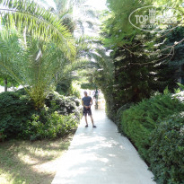 фото из отзыва ID 1708713