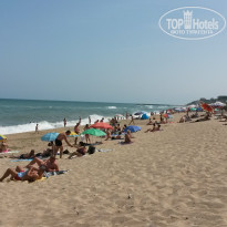 фото из отзыва ID 1708718