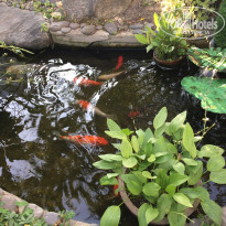 фото из отзыва ID 1708703