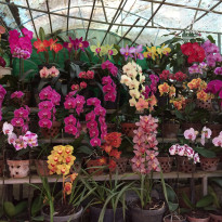 фото из отзыва ID 1708703