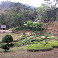 фото из отзыва ID 1708703