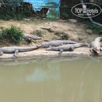 фото из отзыва ID 1708703