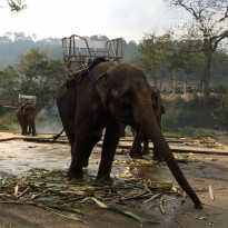 фото из отзыва ID 1708703