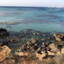 фото из отзыва ID 1708830