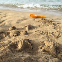 фото из отзыва ID 1708830