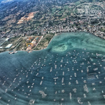 фото из отзыва ID 1708890