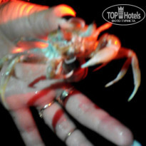 фото из отзыва ID 1706996