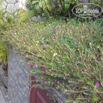 фото из отзыва ID 1706996