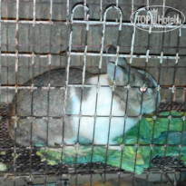 фото из отзыва ID 1706996