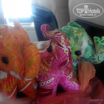 фото из отзыва ID 1706996