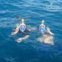 фото из отзыва ID 1708677