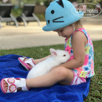 фото из отзыва ID 1709113