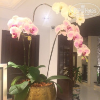 фото из отзыва ID 1709236