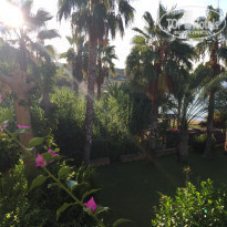 фото из отзыва ID 1709295