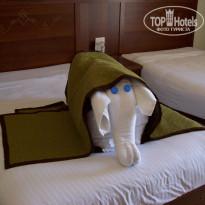 фото из отзыва ID 1709353