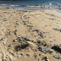 фото из отзыва ID 1709570