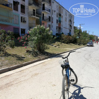 фото из отзыва ID 1709600