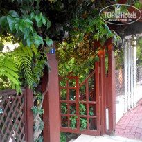 фото из отзыва ID 1709641