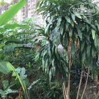 фото из отзыва ID 1709646