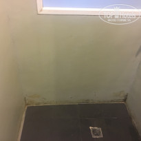 фото из отзыва ID 1709709