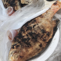 фото из отзыва ID 1709764