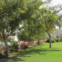 фото из отзыва ID 1709729