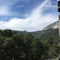 фото из отзыва ID 1709852