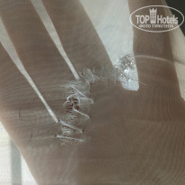 фото из отзыва ID 1707359