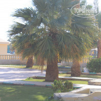 фото из отзыва ID 1709951