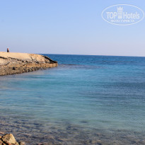 фото из отзыва ID 1709951