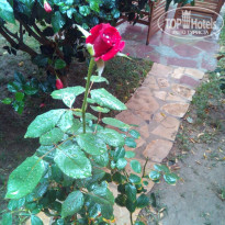 фото из отзыва ID 1709979