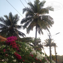 фото из отзыва ID 1701968