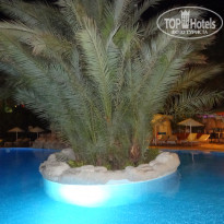 фото из отзыва ID 1708713