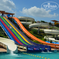 фото из отзыва ID 1708052