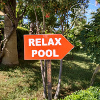 фото из отзыва ID 1705204