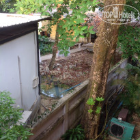 фото из отзыва ID 1703504