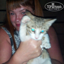 фото из отзыва ID 1703746