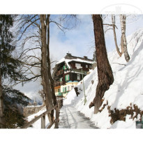 фото из отзыва ID 17180