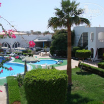 фото из отзыва ID 171250